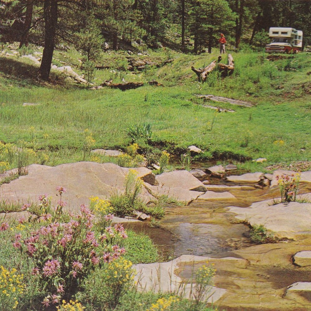 🌸🌲🚐“Life is an adventure, not a package tour”
